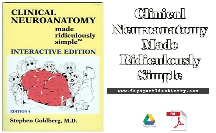 neuroanatomy review pdf
